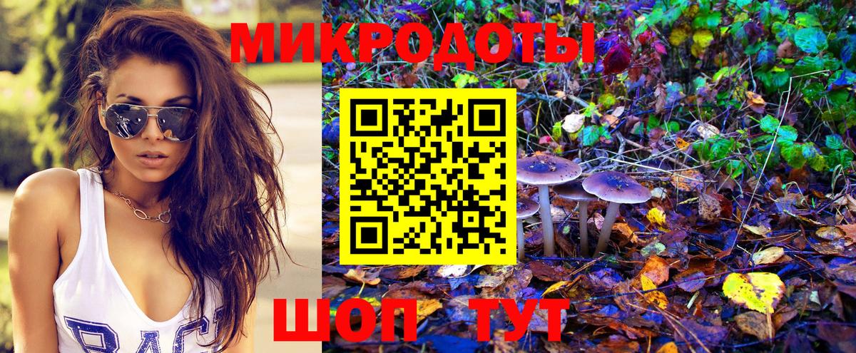 Псилоцибиновые грибы GOLDEN TEACHER  что такое наркотик  Красноармейск  Вход с VPN  Псилоцибиновые грибы Psilocybine cubensis 